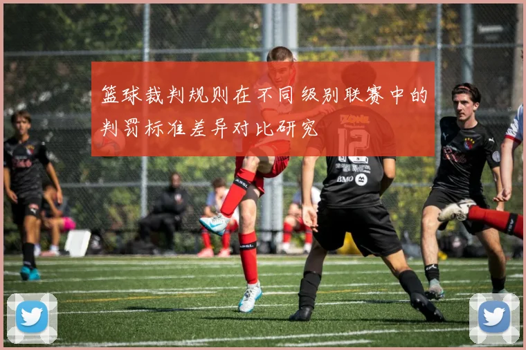 篮球裁判规则在不同级别联赛中的判罚标准差异对比研究