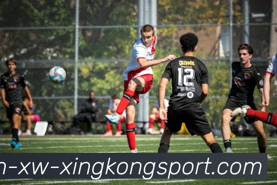 多媒体互动体验